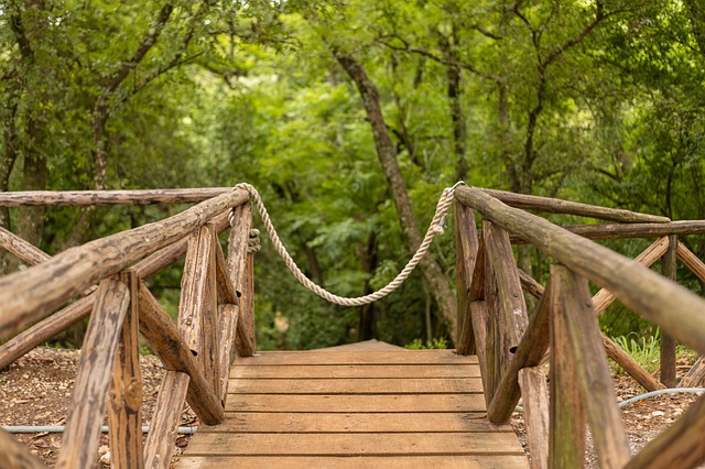 trees-640x480-92305124.jpeg