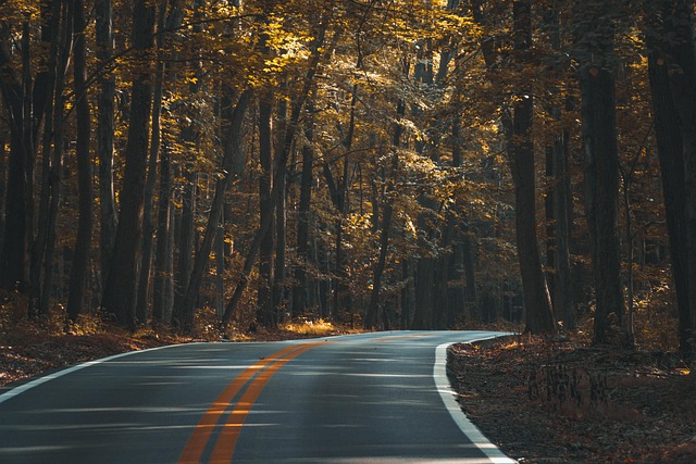 trees