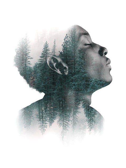 trees-640x480-97357911.jpeg
