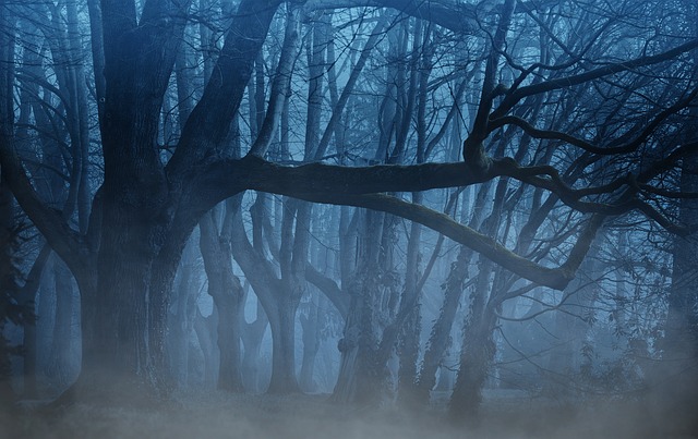 trees