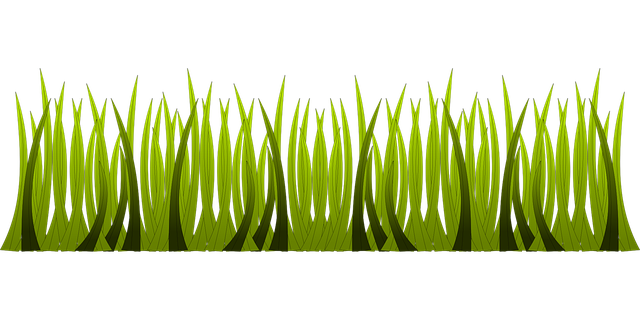 artificial turf