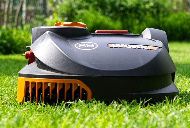 artificial-turf-640x480-64558661.jpeg