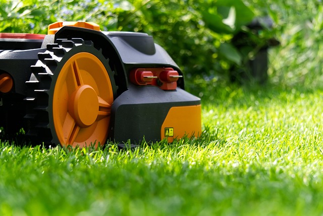 artificial turf