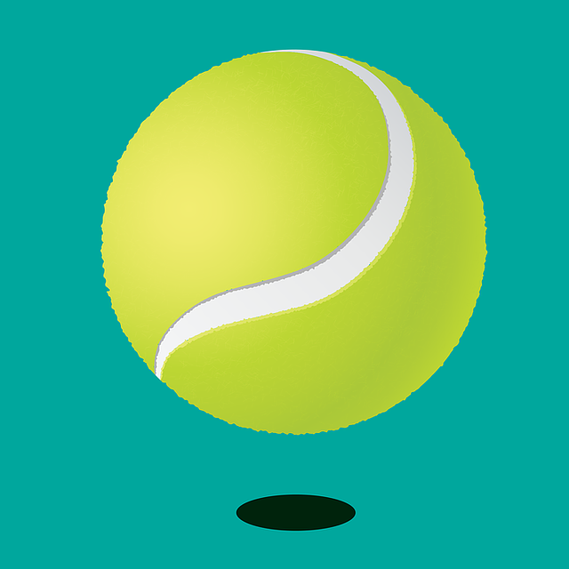 court-640x480-10608508.png