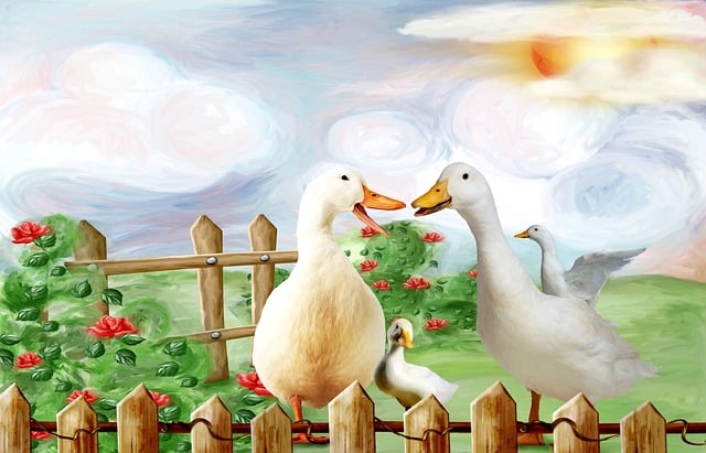 court-640x480-75893443.jpeg
