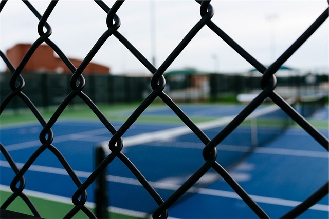 Efficient Estate Transfer: Olympia’s Heirs & Specialized Probate Attorneys