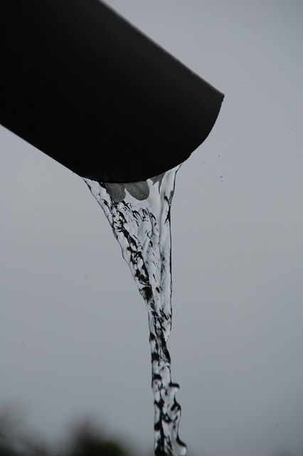 drainage