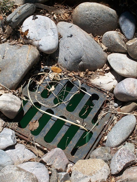 Professional Stormwater Management: French Drain Installation in Portland OR