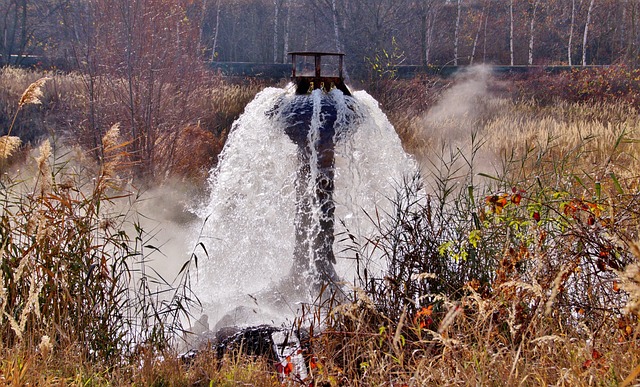 drainage