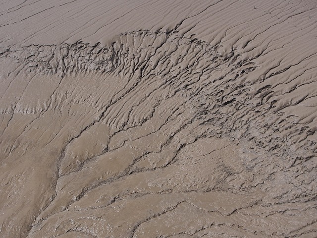 drainage