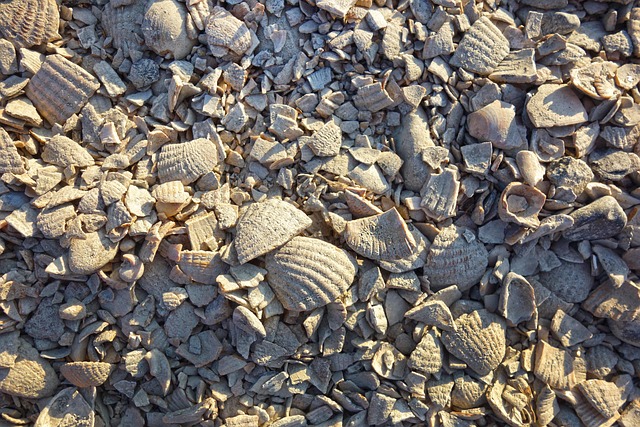 driveway-640x480-28490654.jpeg