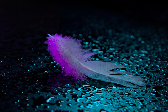 McKinney TX Polyaspartic Floor Coating: Protecting Surfaces Professionally