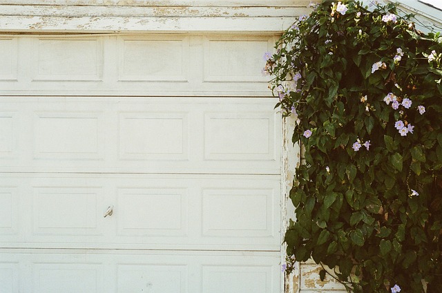 Transform Your Garage with Epoxy Coatings: Carrollton TX Experts Guide
