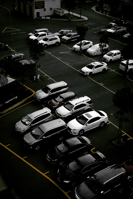Transform Your Garage with McKinney’s Top Polyurethane Floor Solutions