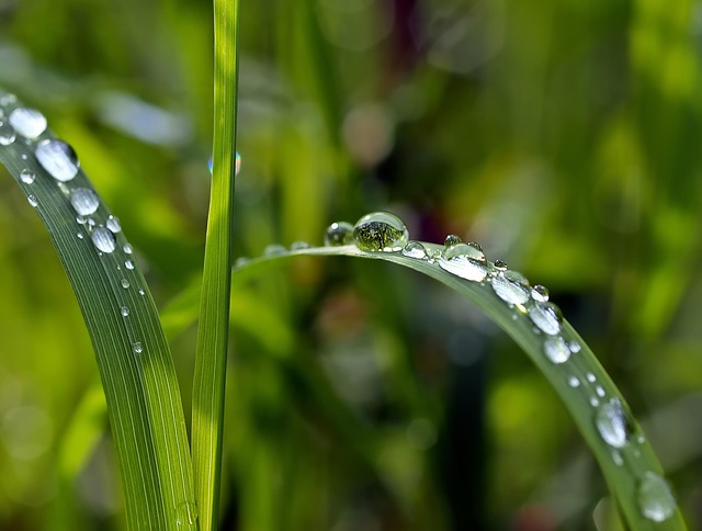 Portland OR 10 Pass Ozone Treatment: Benefits and Process Explained