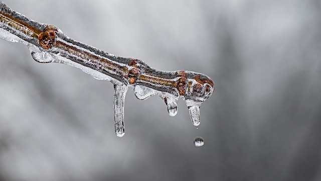 iv-drip-640x480-35701471.jpeg