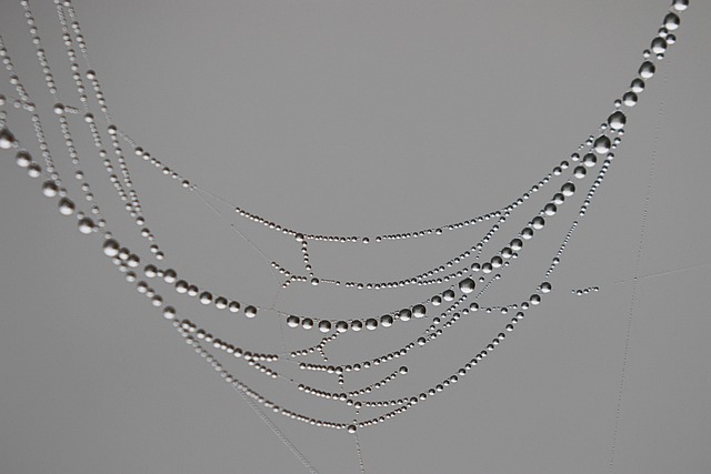 iv-drip-640x480-39978230.jpeg