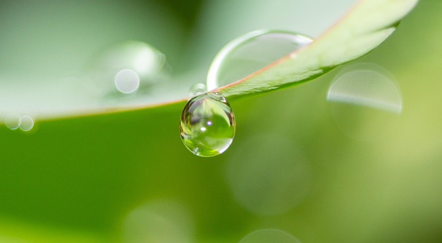 iv-drip-640x480-64429.jpeg