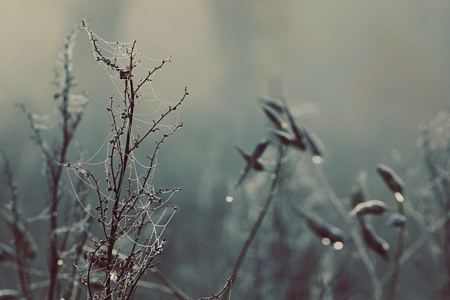 Unwinding Inflammation in Portland: 10 Pass Ozone Therapy Benefits