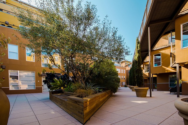 landscaping-640x480-12833403.jpeg