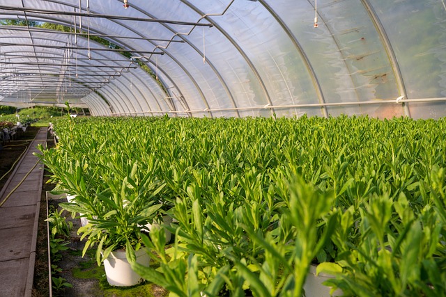 landscaping-640x480-33635225.jpeg