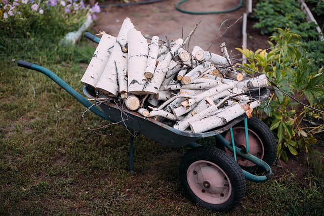 Premium Seasonal Yard Care in Portland: Top Landscaping Services Revealed