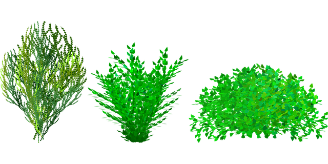 landscaping-640x480-56277224.png