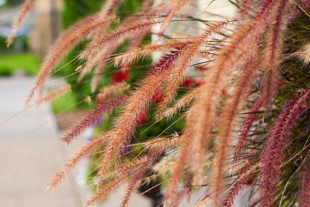 Elevate Your Outdoor Space: Top Portland OR Landscaping Company Insights