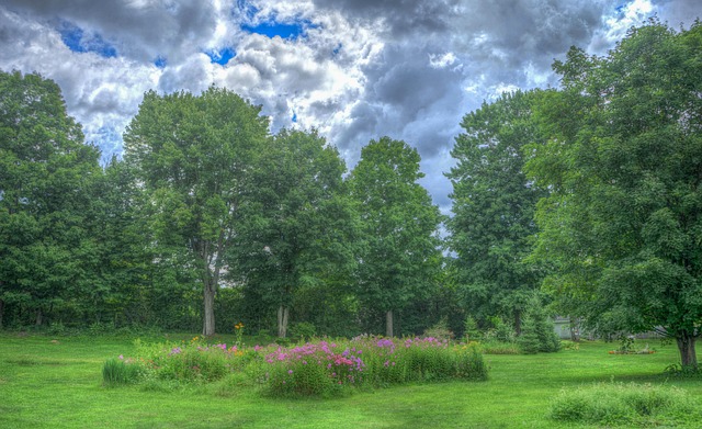 landscaping-640x480-97292837.jpeg