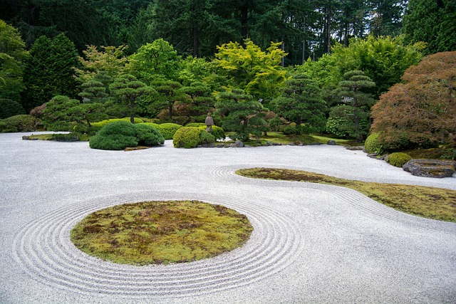 Portland OR Landscaping: Efficient Drainage & Irrigation Systems Installation