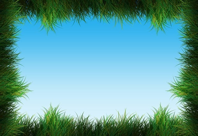 lawn