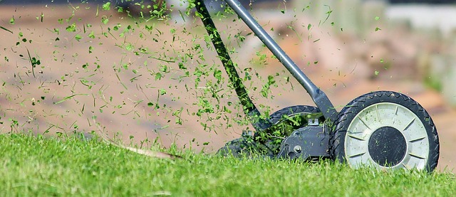 Transform Your Portland OR Lawn: Expert Grading for Perfect Sod Installation