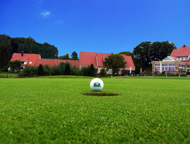 lawn