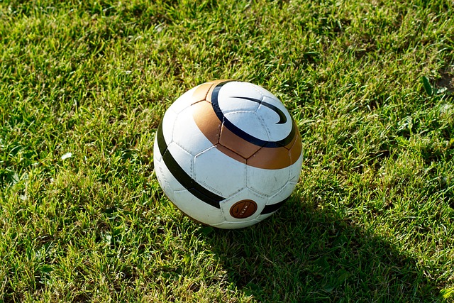 Reliable Sod Lawn Installation Experts in Portland OR