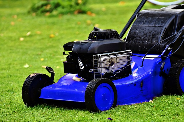 Transforming Portland Lawns: Artificial Sod Installation and Benefits