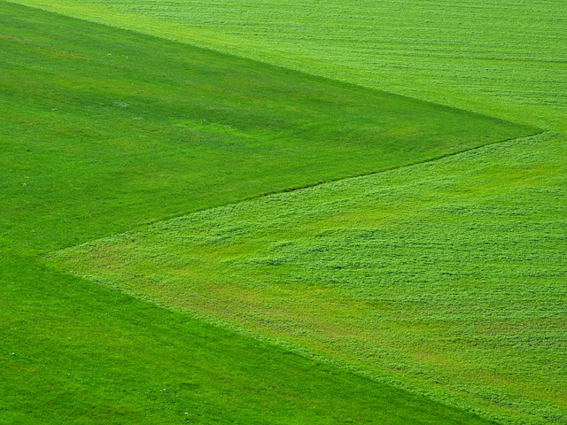 lawn-640x480-86802174.jpeg