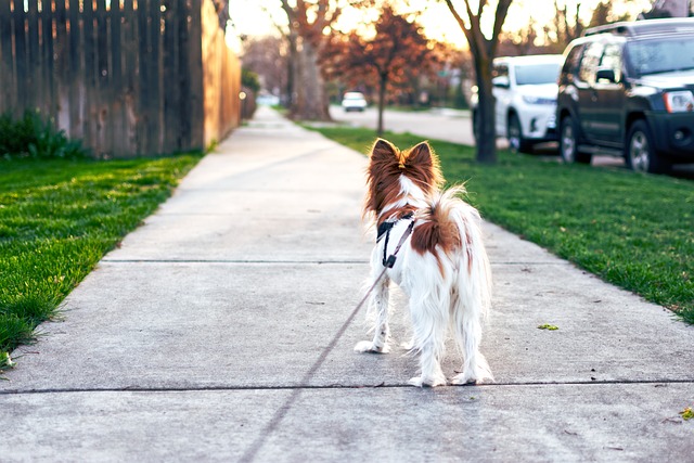 sidewalk-640x480-31120409.jpeg