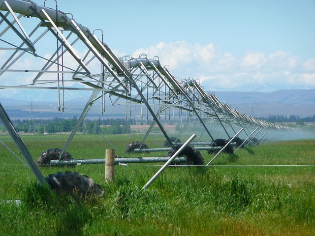 sprinklers-640x480-13918080.jpeg