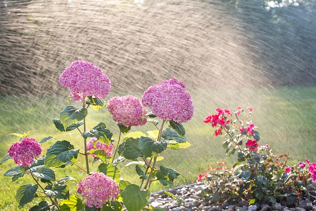 Optimizing Water Usage: Custom Irrigation Zoning in Portland, OR