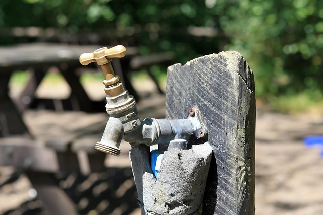 sprinklers