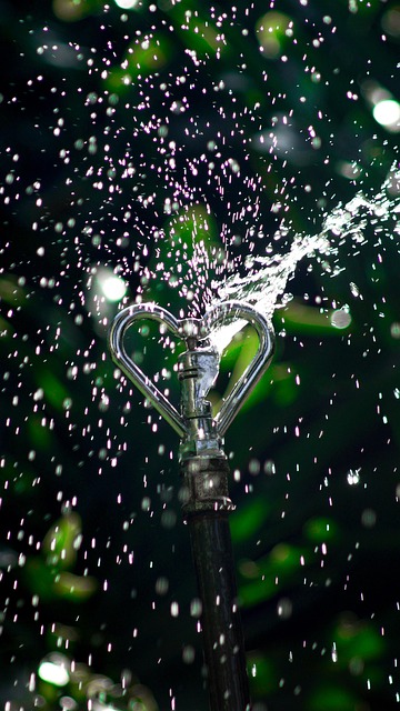 Optimize Portland, OR Property Watering with Top Automatic Drip & Soaker Hose Installations