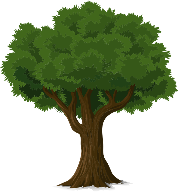 tree
