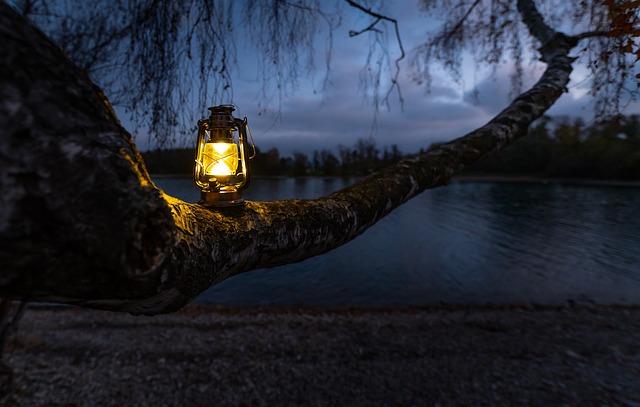 tree-640x480-24628541.jpeg