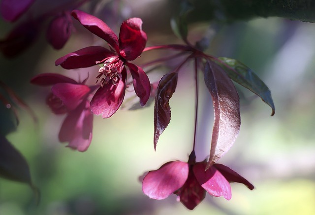 tree-640x480-67275847.jpeg