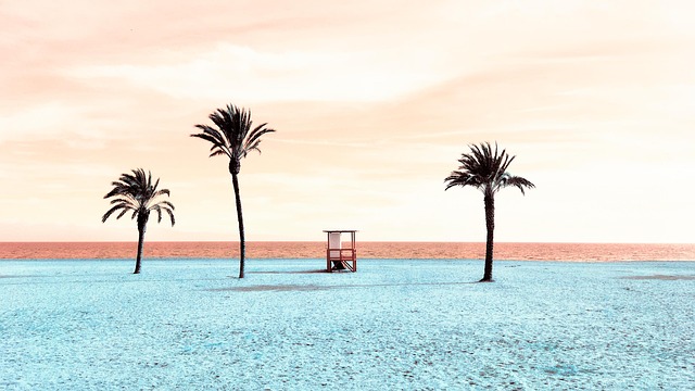 trees-640x480-3440528.jpeg
