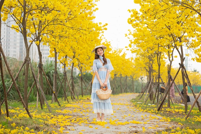 trees-640x480-41430969.jpeg