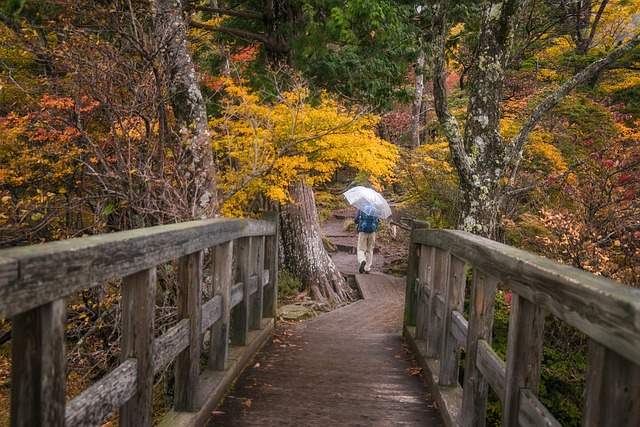 Optimal Garland Tree Maintenance: When & How to Choose Professionals
