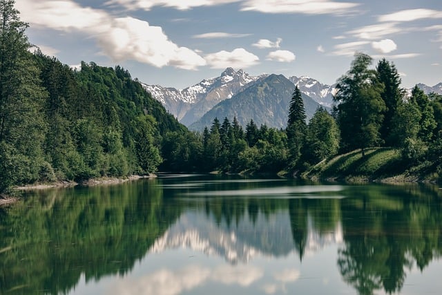 trees-640x480-67560939.jpeg