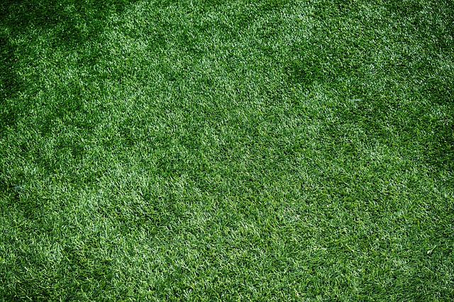 artificial turf