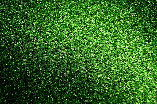 artificial turf